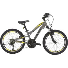 Bisan Buffalo - 24'' Jant 18 Vites Çocuk Bisikleti - Metalik Gri Sarı