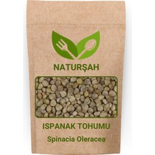 Naturşah Ispanak Tohumu 1 kg / Spinacia Oleracea