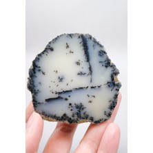 Healcrystal Krem ve Beyaz Renkli Merlinit - Krem Dendritik Opal ile Jet-Siyah Ağaç Içerikler