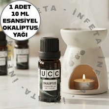 İnfeta 1 Adet 10 ml Okaliptus Esansiyel Koku Yağı - Hava Nemlendirici Buhardanlık Kokusu Nefes Açıcı ,zihin Uyandırıcı Koku Yağı - Kurutma Topu Ütü Aroma Kokusu Oda Kokusu Uçucu Yağ
