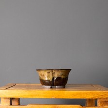 Seika Mokko Bonsai Saksısı No.1-Xs - Yosun (17 Cm)