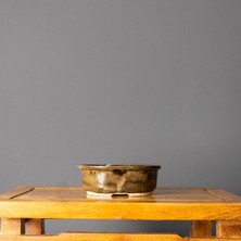 Seika Oval Bonsai Saksısı No.1-2xs - Yosun (14 Cm)