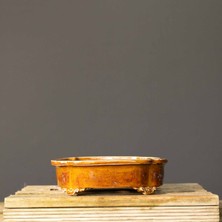 Seika Mocco Bonsai Saksısı NO.126-SIRLI (24 Cm)