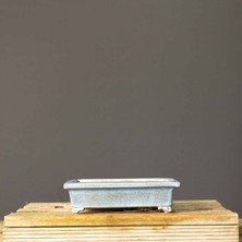 Seika Köşeli Bonsai Saksısı NO.104-SIRLI (20.5 Cm)