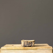 Seika Köşeli Bonsai Saksısı NO.209-SIRLI (11 Cm)