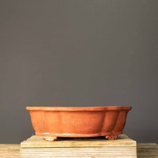 Seika Oval Bonsai Saksısı NO.132-SIRLI (41 Cm)
