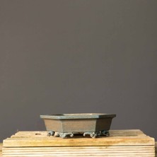 Seika Köşeli Bonsai Saksısı NO.100-SIRLI (21.5 Cm)