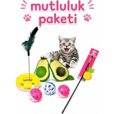Muhtelif Kedi Mutluluk ve Oyuncak Seti Avokado Kedi Nanesi Kedi Oltası Catnip