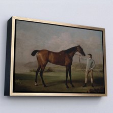 Uslucan Alışveriş Ahşap Çerçeveli George Stubbs'un Uzun Bacaklı At ve Jokeyi Tablosu - Molly Long-Legs With Her JOCKEY-7012