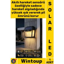 Wintoup #led Outdoor Dış Mekan Bahçe Su Geçirmez Sensörlü Güneş Enerjili Çiftli Solar LED Aydınlatma Lambası