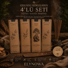 Odunsu Kokular Doğal Tütsüler 4X20 Adet - Uzun Süre Kalıcı Odunsu Aromalar