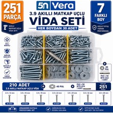 5n Vera 251 Parça Organizer Kutulu 3.9 Matkap Uçlu Akıllı Vida Seti  | 40 Pul | Ph2×50 Bits Ucu | 3.9X13 3.9X16 3.9X19 3.9X22 3.9X25 3.9X32 3.9X38