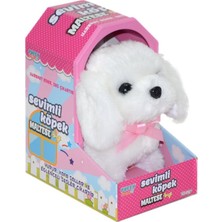 47100 Sevimli Köpek Maltese -