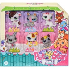 3046A3 Pet Star 6'lı Miniş Seti-2