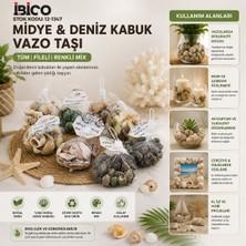 Artisan Cappadocia 20 Adet Fileli Renkli Mix Eko Midye - Deniz Kabuk Vazo Taşı (5639)