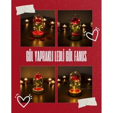 Azrlya Gül Yapraklı Ledli Gül Fanus