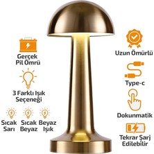 Aesco Oval - Metal Mantar Masa Lambası Dokunmatik - Renkli Type-C Şarjlı 3 Fonksiyonlu YL86-1231