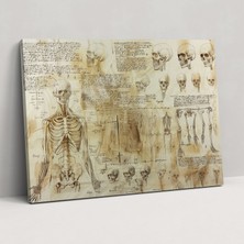 Popcasso Insan Anatomisi Kanvas Tablo - Leonardo Da Vinci Sanatı