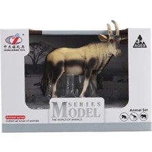 MEGA Kutulu Model Antilop