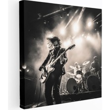 Popcasso Canlı Konser Temalı Pink Floyd Kanvas Tablo