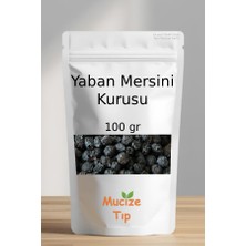 Mucize Tıp Yaban Mersini Kurusu Dökme 100 gr