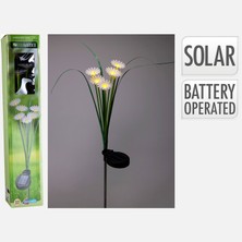 Progarden Çubuk Solar Çiçek (4'li Paket)