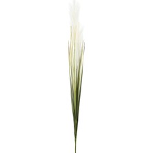 Mudo Home SINGLE GRASS BEJ DAL ÇİÇEK - 92 CM
