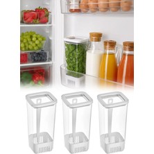 Omilife 3'lü Kare Yeşillik Saklama Kabı 1700 ml Kapaklı Marul Maydanoz Taze Ot Saklama Kutusu VP-007