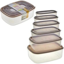 Bates House Violet 6lı Saklama Kabı