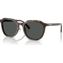 Versace 0VE4493D 108/87 55 Kadın Güneş Gözlüğü