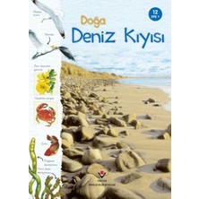 ALFA AKSESUAR 03 Doğa Deniz Kıyısı
