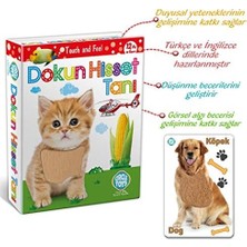 Bg Store Dokun Hisset Tanı Eğitim Kartları, Zeka Kartları