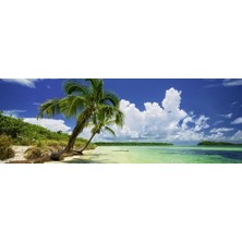 Bg Store Heye Puzzle Paradise Palm 2000 Parça Panorama