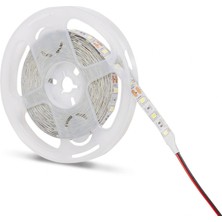 Eco Lounge 5 Metre Noas YL40 4003 Iç Mekan 12V Mavi Şerit LED