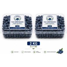 Canberry Yaban Mersini