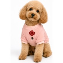 Selinsya Köpek Sweater