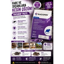 Bayer Envu Racumin Fare Buğdayı 250GR x 5 Adet
