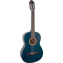 Acoustic Guitar