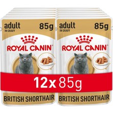 Royal Canin British Shorthair Konserve 85 gr x 12 Adet