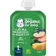 Gerber Organik Muz Yabanmersini Böğürtlen ve Elma Püresi 90 G