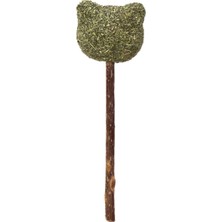 Beeztees Eastland 550872 Matatabi Catnip Ayıcık Şekilli Kedi Için Lolipop Oyuncak, 9.5 cm