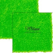 Wilma Secret Mikrofiber Parlatma Temizleme Bezi - Araba Için Temizleme Giysileri - Detay Malzemeler
