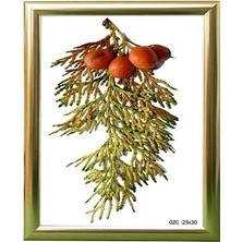 Hediyelik Çerçeve Ev Home Ofis Kişiye Özel Resim Çerçevesi Masaüstü 25X30 25X30-LAM22-GÜMÜ