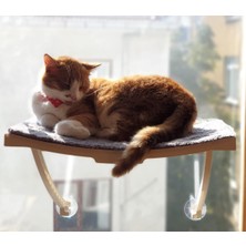 Ata Home Yeni Dizayn Lüx Cam ve Duvar Için Kedi Yatağı Vantuzlu