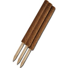 Gardener KKS080 Koko Sarmaşık Çubuğu - 80 cm