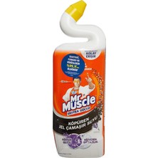 Mr Muscle Lavanta Kokulu Çamaşır Suyu Katkılı Tuvalet Temizleyici 750 ml