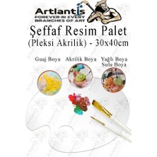 Pleksi Akrilik Resim Paleti 30X40 3mm 1 Adet Oval Palet Plastik Şeffaf Resim Boya Paleti Orta Boy B