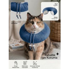 Patiderm Elizabeth Yakalık Yumuşak Ayarlanabilir Kedi Köpek Koruyucu Boyunluk, Mavi, M Beden