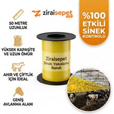 Zirai Sepet Sinek Yakalama Bandı 15X50 Metre