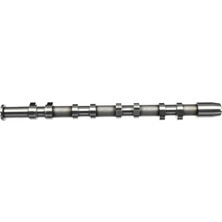 ESTAŞ Egzoz Egzantrik Mili - Celik (Vw Golf 04-09 Passat 06-08 Audi A3 04-13 A4 05-08 Leon 06-10) Bwa-Bwe-Bpj